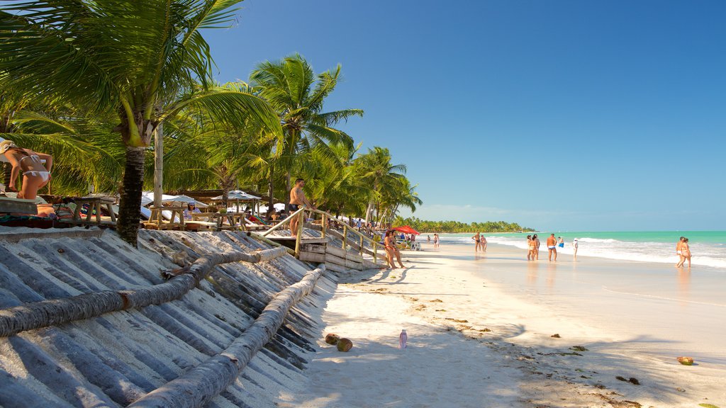 Maceió ofreciendo vistas generales de la costa, una playa de arena y escenas tropicales