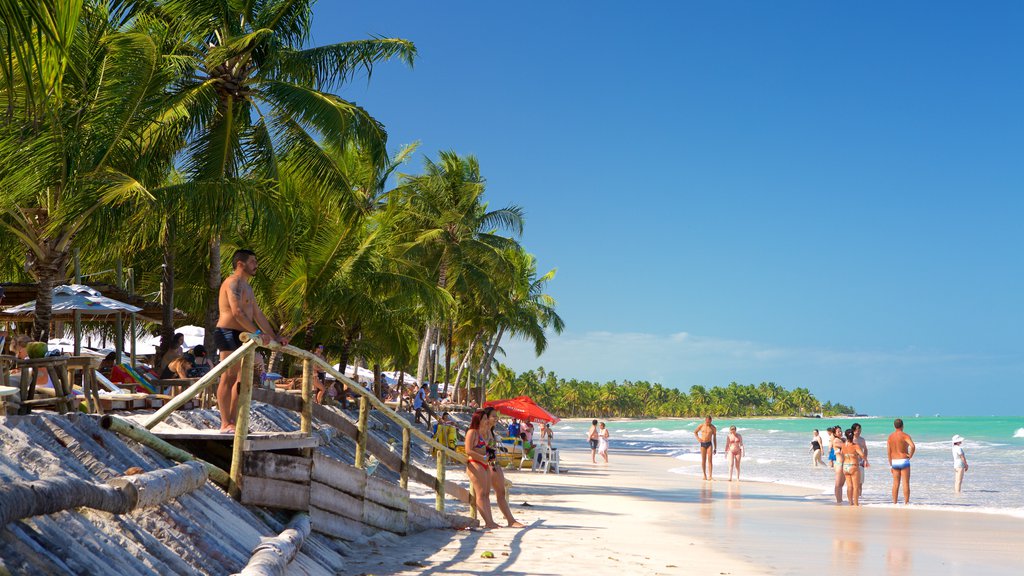 Maceió ofreciendo escenas tropicales, vistas generales de la costa y una playa de arena