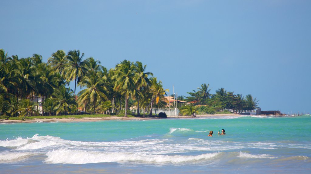 Ipioca Beach which includes swimming, tropical scenes and general coastal views