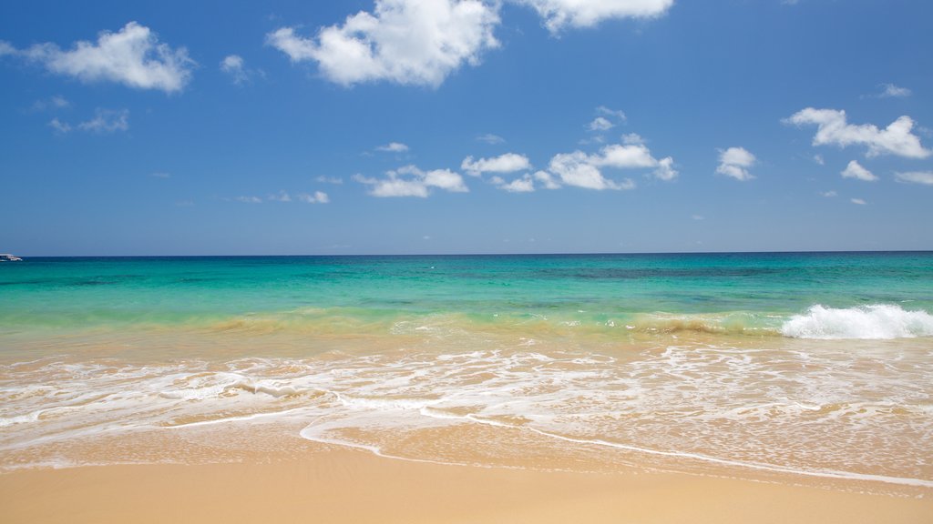 Praia Cacimba do Padre que inclui uma praia e paisagens litorâneas