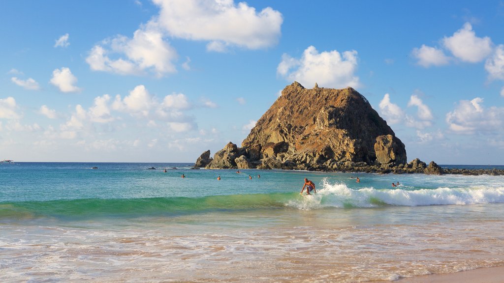 Playa de Conceicao mostrando olas, vistas generales de la costa y surf