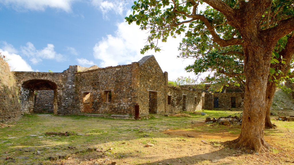 Forte dos Remédios mostrando um jardim, ruínas de edifício e elementos de patrimônio