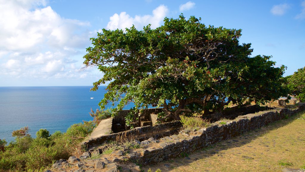 Fuerte Remedios ofreciendo vistas generales de la costa, una ruina y un jardín