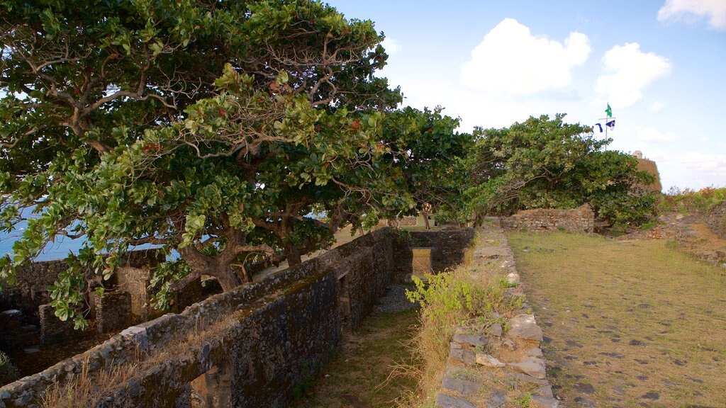 Fuerte Remedios mostrando elementos del patrimonio, un jardín y una ruina