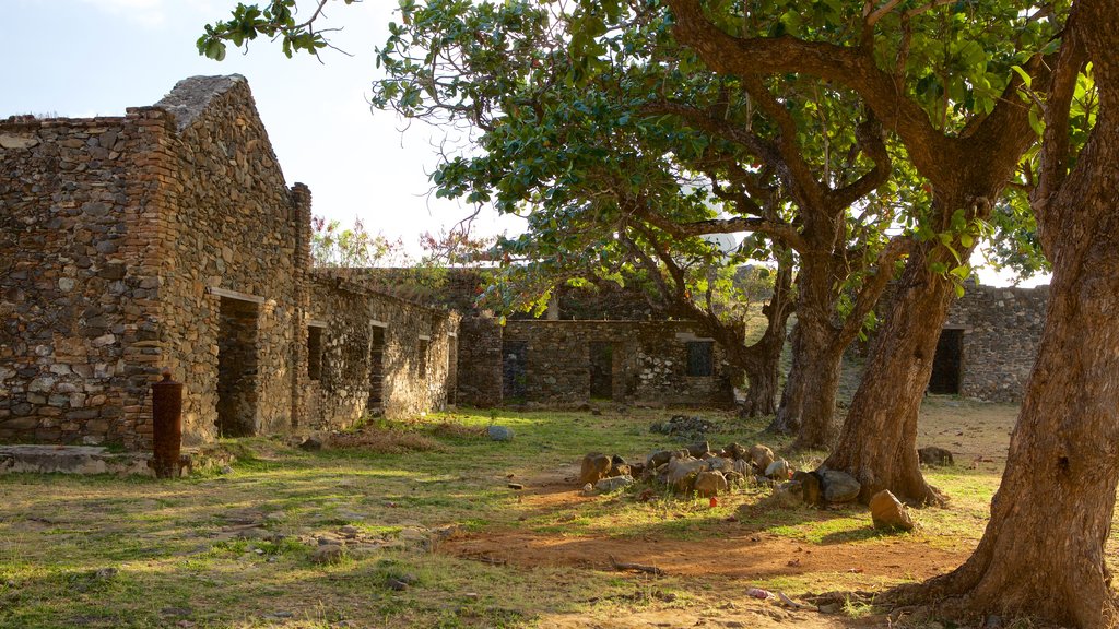 Forte dos Remédios caracterizando ruínas de edifício e elementos de patrimônio