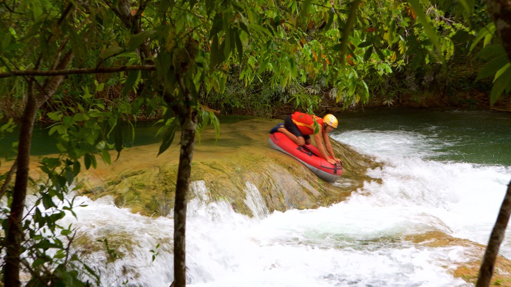 Formosa River Ecological Park showing rafting, rapids and a river or creek