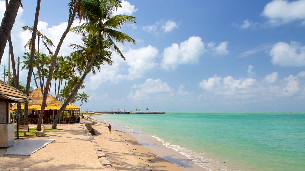 Ponta Verde Beach featuring tropical scenes, general coastal views and a sandy beach