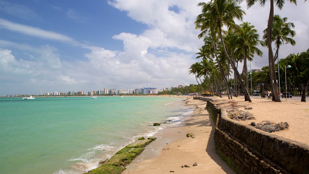 Bãi biển Ponta Verde có tính năng bãi biển cát, cảnh bờ biển và quang cảnh miền nhiệt đới