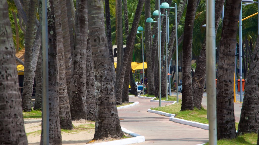 Ponta Verde Beach showing a garden