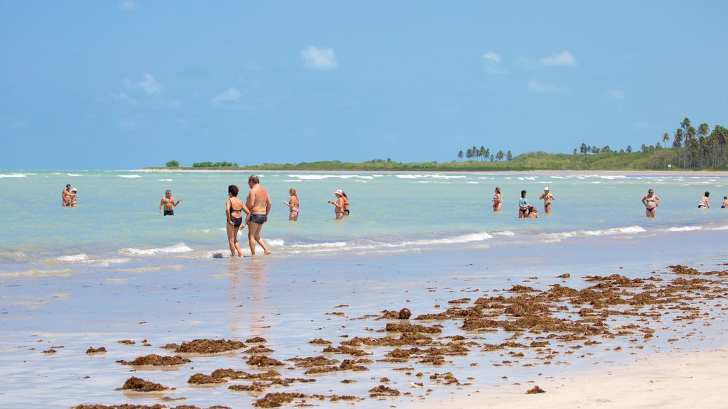 Playa Paripueira mostrando natación, vistas generales de la costa y una playa