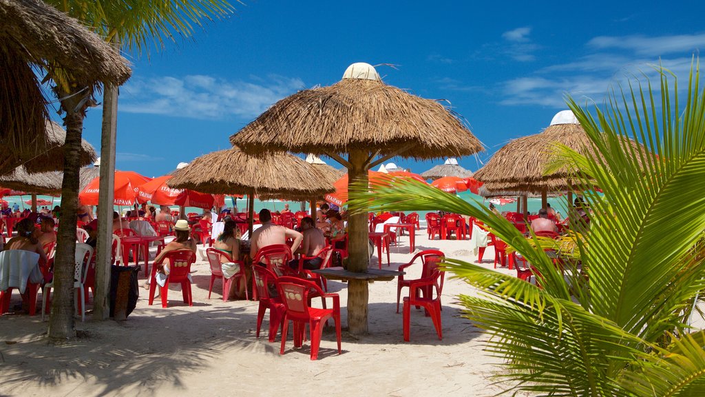 Paripueira Beach showing general coastal views, a sandy beach and outdoor eating