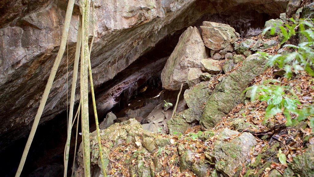 Gruta de São Miguel ofreciendo cuevas