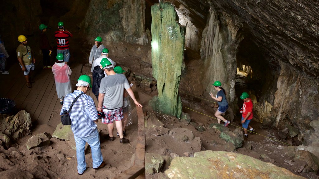 Sao Miguel Cave featuring caves and caving as well as a small group of people