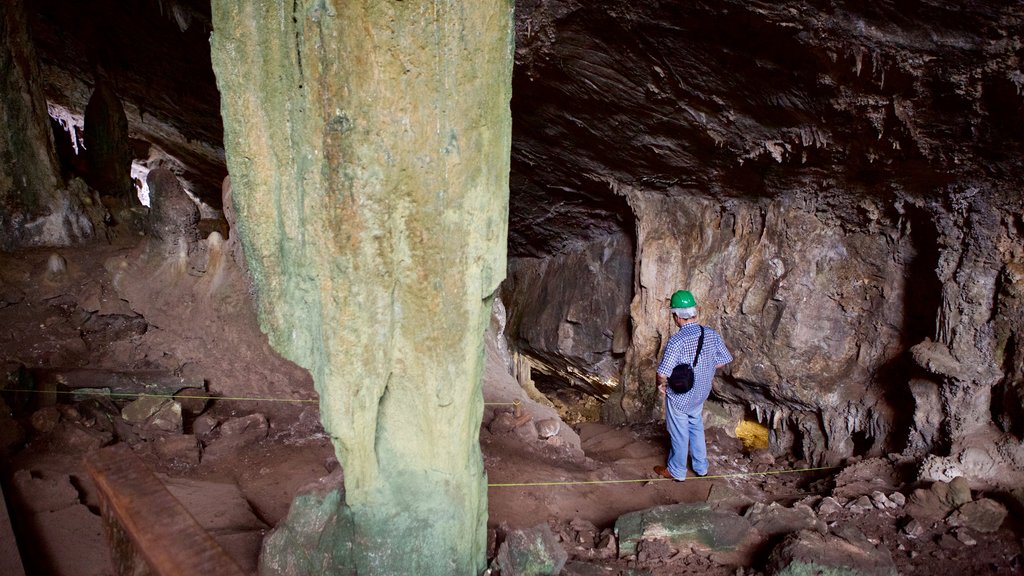 Sao Miguel Cave featuring caving and caves as well as an individual male