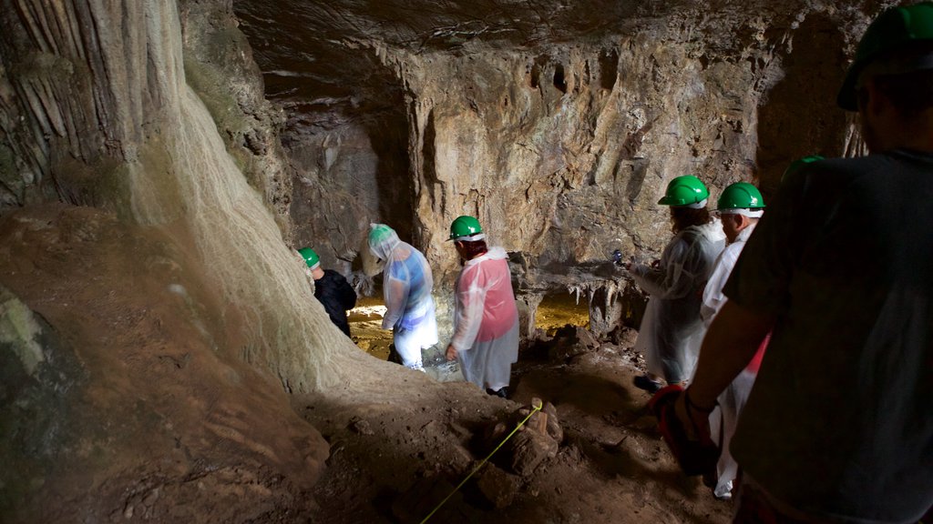 Grutas de São Miguel mostrando cavernas assim como um pequeno grupo de pessoas