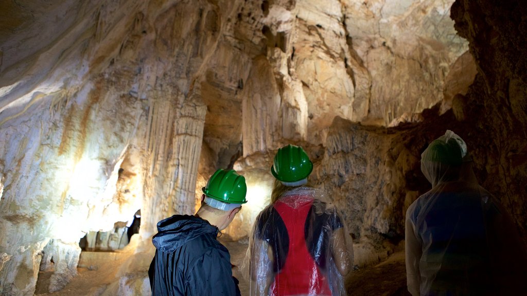 Sao Miguel Cave showing caves and caving as well as a small group of people