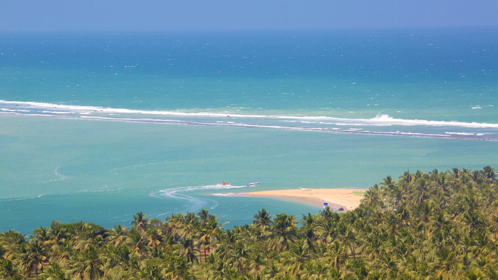 Maceió que incluye una playa de arena, vista general a la costa y escenas tropicales