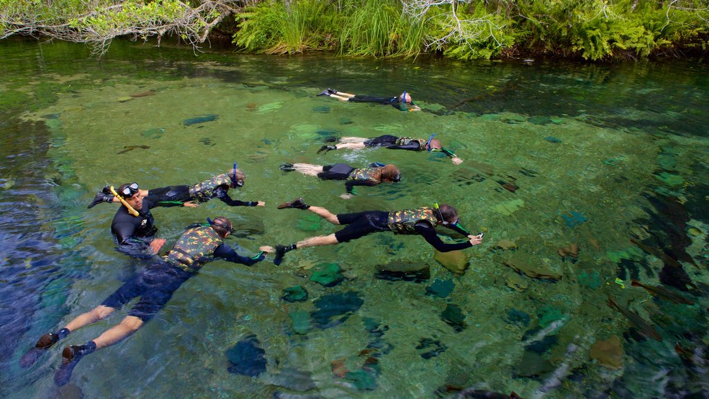 Bonito ofreciendo snorkel, un río o arroyo y natación