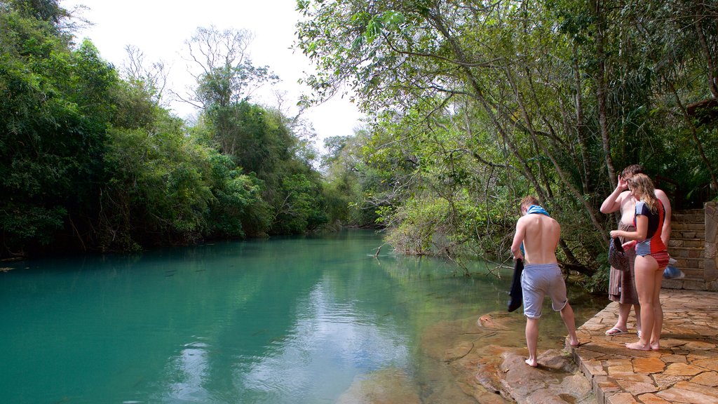 Bonito que incluye un río o arroyo y natación y también un pequeño grupo de personas