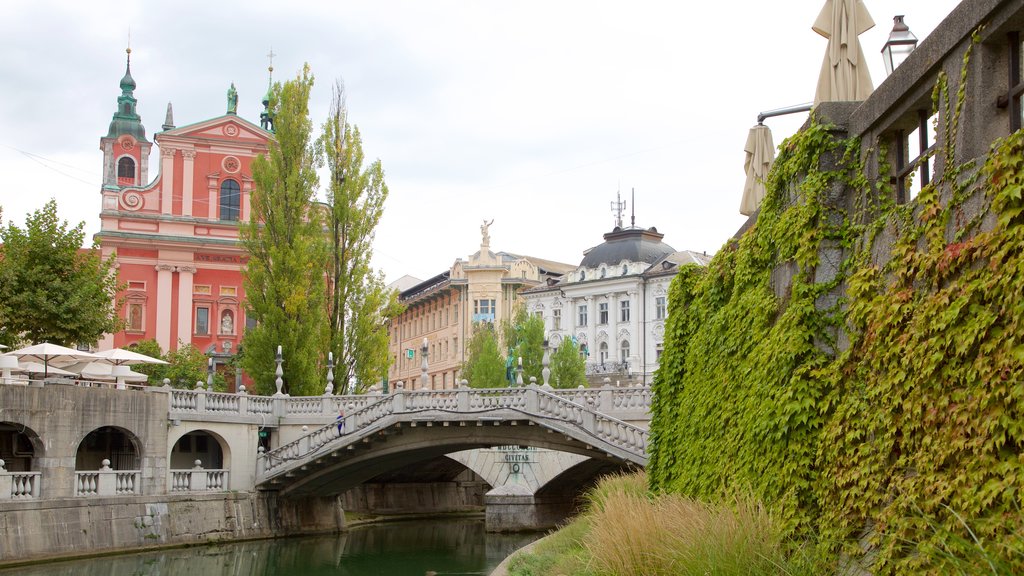 Triple Bridge featuring a bridge, a river or creek and a city