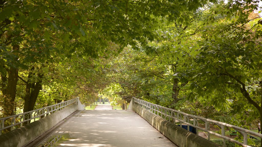 Ljubljana which includes a park and a bridge