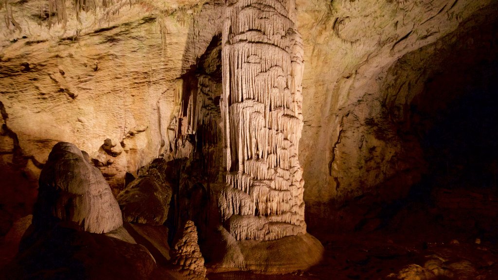 Postjona Caves which includes caves