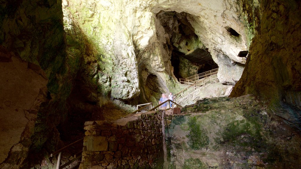 Predjama Castle featuring a castle and interior views