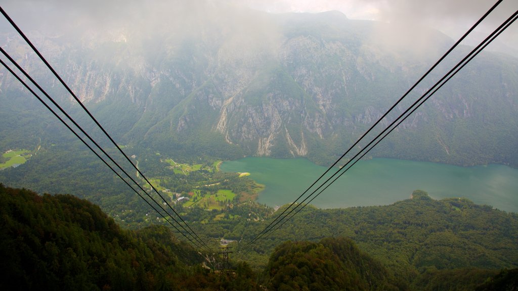 Triglav National Park featuring forests, a lake or waterhole and mist or fog