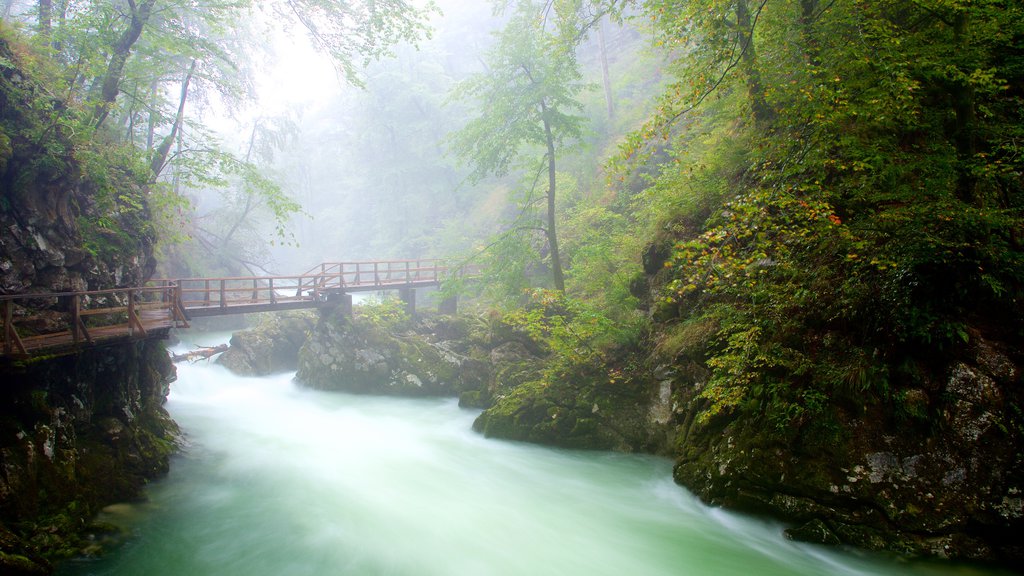 Desfiladero de Vintgar que incluye neblina o niebla, un barranco o cañón y un puente