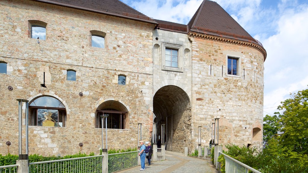 Castelo de Liubliana mostrando um pequeno castelo ou palácio