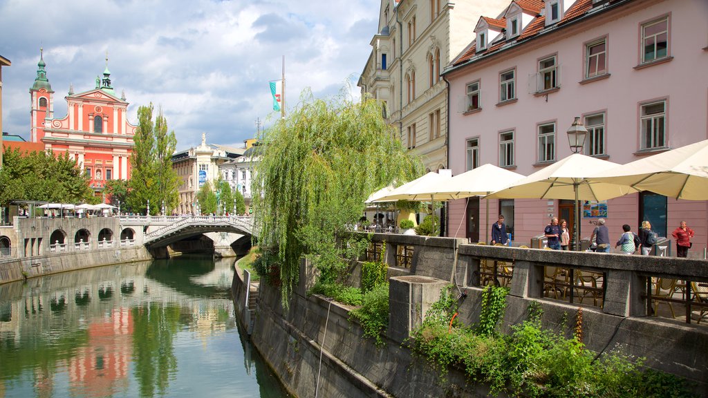 Triple Bridge showing a city, a bridge and a river or creek