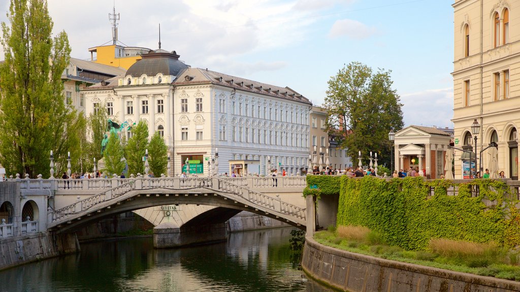 Triple Bridge which includes a bridge, a city and a river or creek