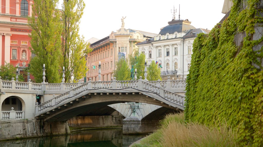 Triple Bridge which includes a river or creek, a bridge and a city