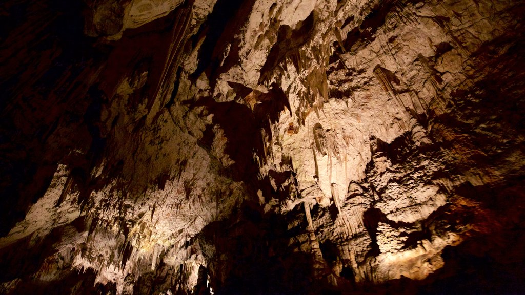 Cuevas de Postjona mostrando cuevas