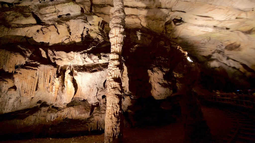 Postjona Caves showing caves