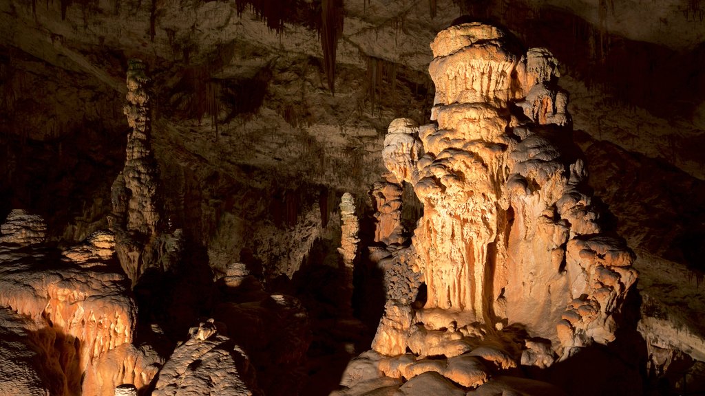 Grutas de Postjona mostrando cavernas