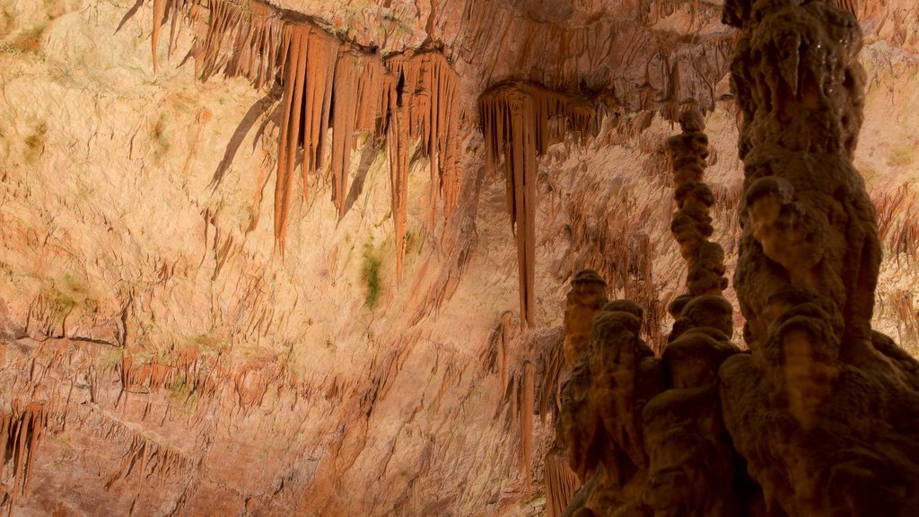 Grutas de Postjona caracterizando cavernas