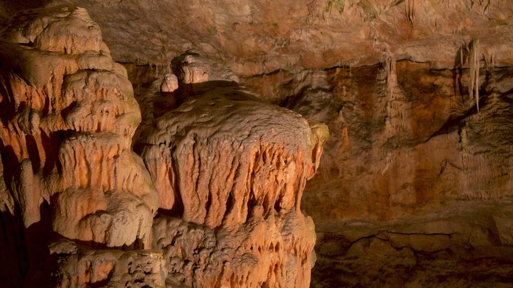 Postjona Caves bevat grotten