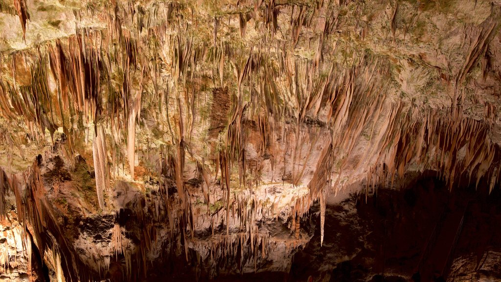 Postjona Caves showing caves