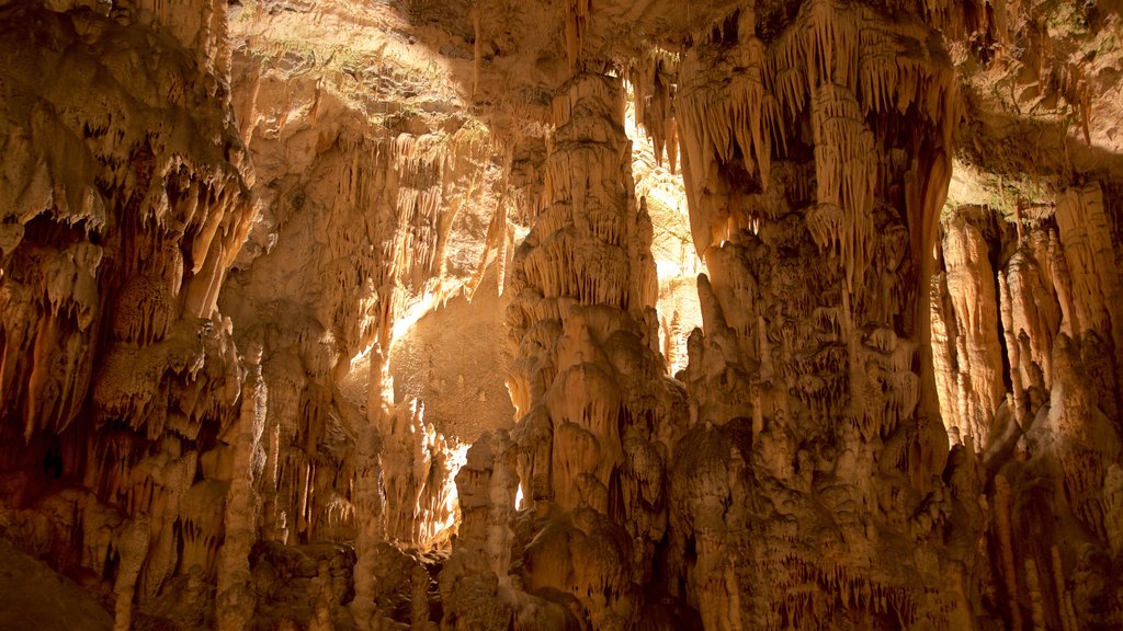 Postjona Caves bevat grotten