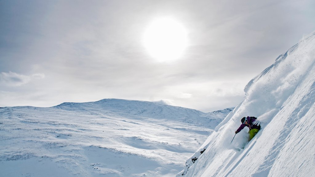 Riksgransen showing snow, a sunset and snow skiing