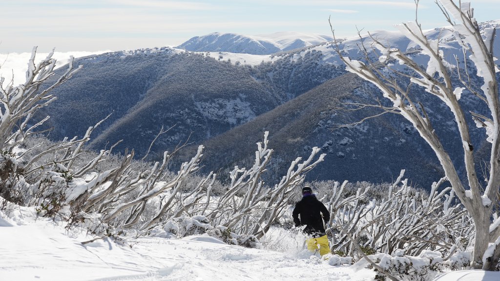 Falls Creek mostrando ski en la nieve, nieve y montañas