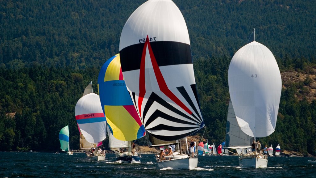 Cowichan Bay showing general coastal views, island images and sailing