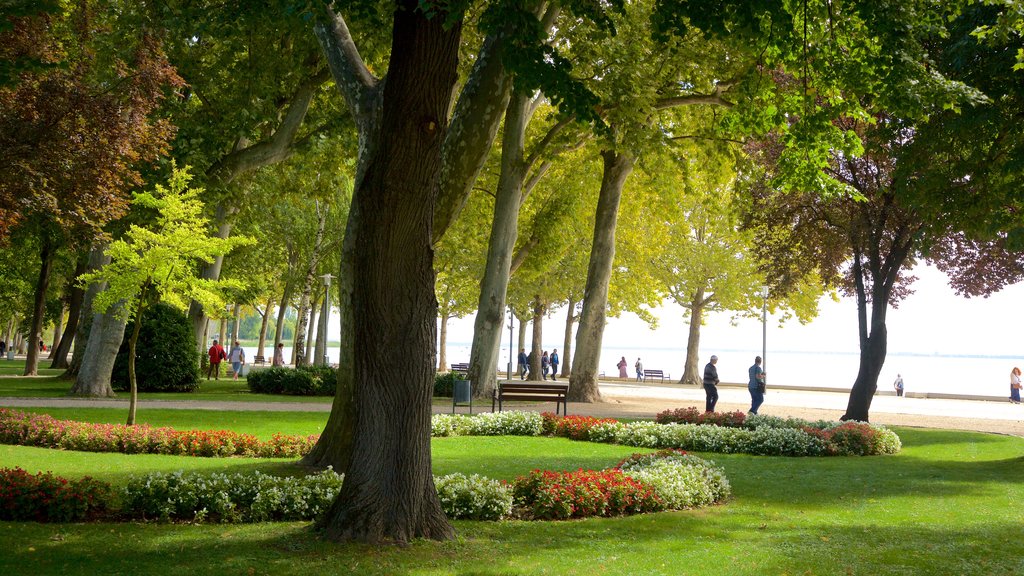 Balatonfured which includes flowers, a park and general coastal views