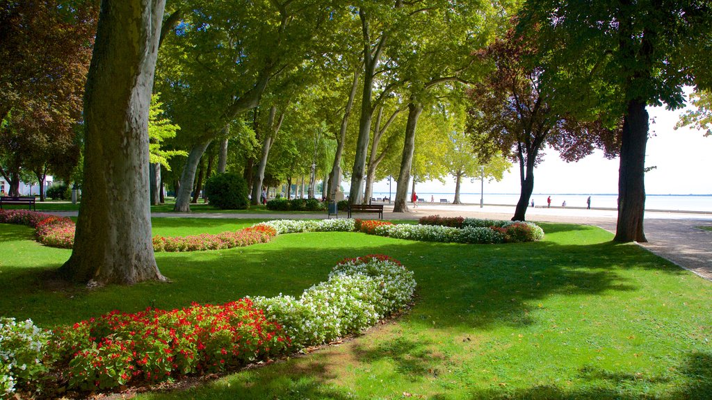 Balatonfured which includes a park, general coastal views and flowers