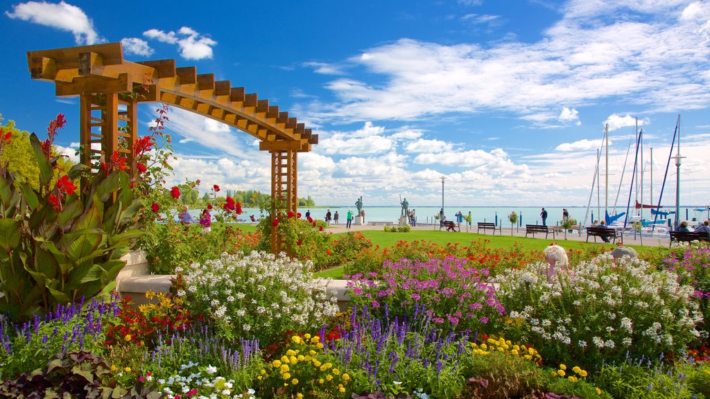 Balatonfüred mostrando flores, vistas generales de la costa y un parque