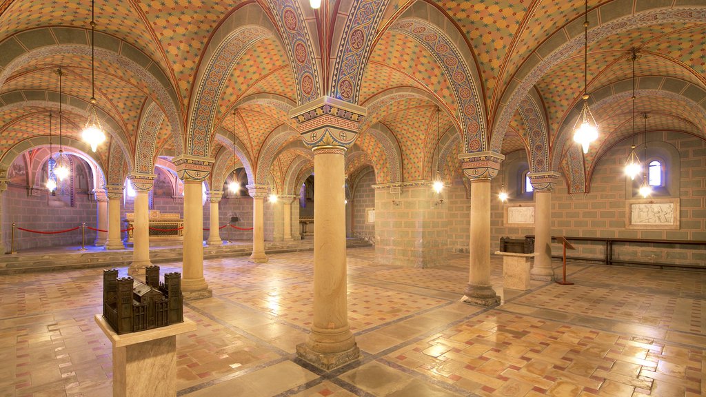 Pecs Cathedral showing interior views, a church or cathedral and religious aspects