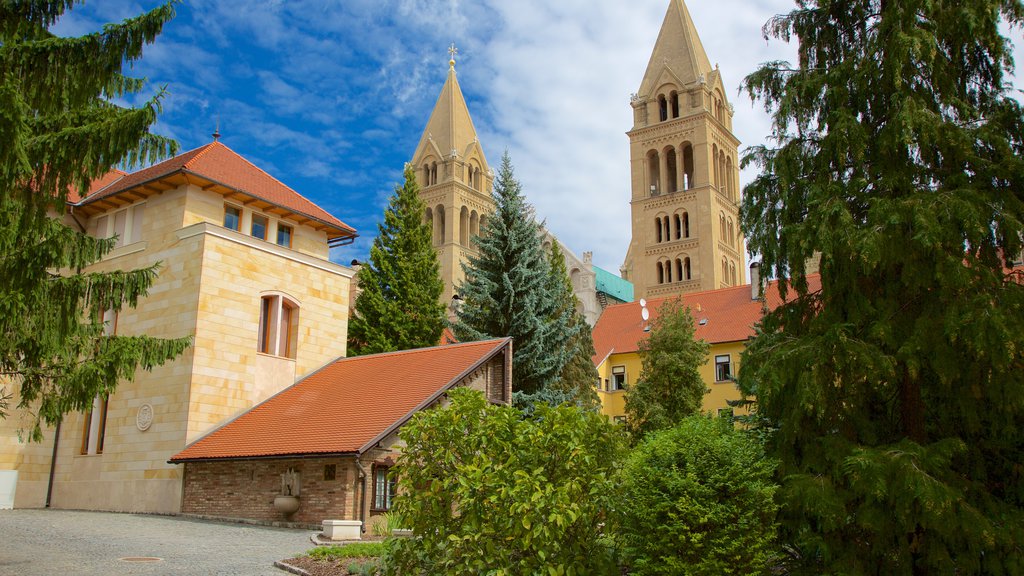 Pécs que incluye patrimonio de arquitectura y castillo o palacio