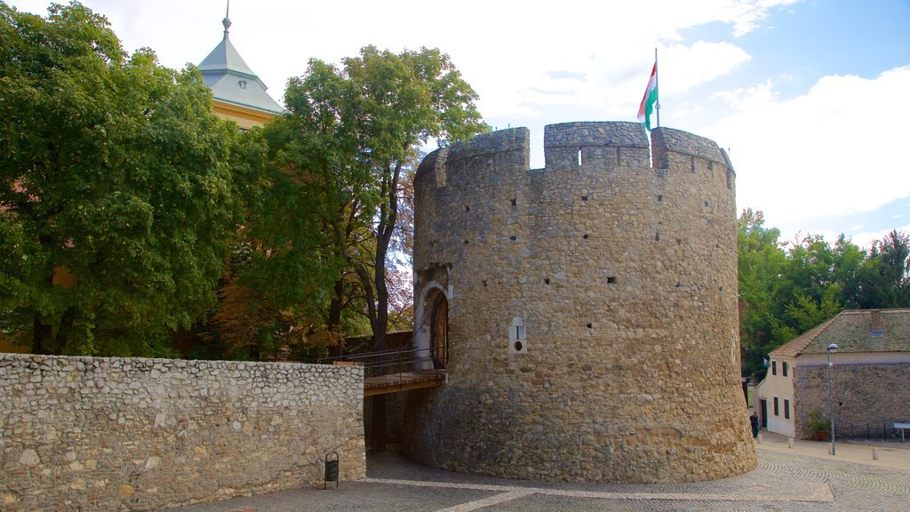 Pécs ofreciendo elementos del patrimonio y una mezquita