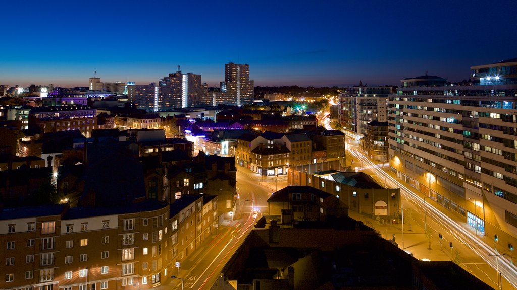 Nottingham which includes night scenes, skyline and a city